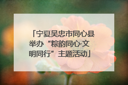 宁夏吴忠市同心县举办“粽韵同心·文明同行”主题活动