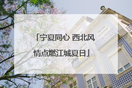 宁夏同心 西北风情点燃江城夏日
