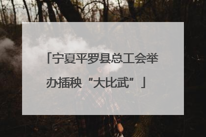 宁夏平罗县总工会举办插秧“大比武”