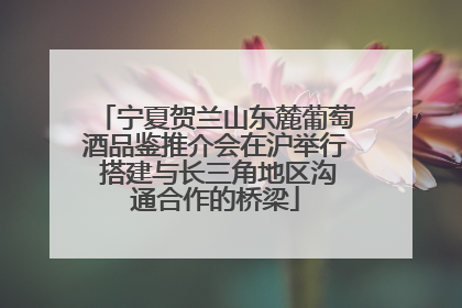 宁夏贺兰山东麓葡萄酒品鉴推介会在沪举行 搭建与长三角地区沟通合作的桥梁