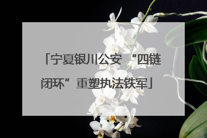 宁夏银川公安 “四链闭环”重塑执法铁军
