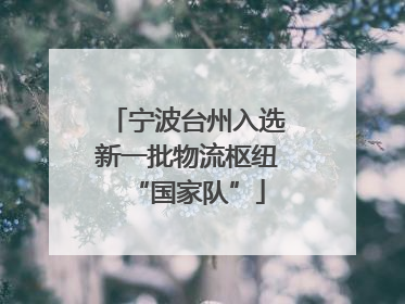 宁波台州入选新一批物流枢纽“国家队”