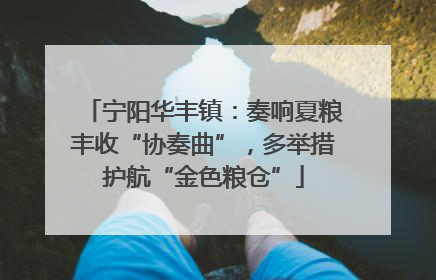 宁阳华丰镇：奏响夏粮丰收“协奏曲”，多举措护航“金色粮仓”