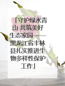 守护绿水青山 共筑美好生态家园——黑龙江省丰林县扎实推进生物多样性保护工作