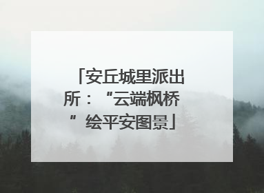 安丘城里派出所：“云端枫桥”绘平安图景