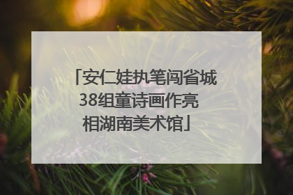 安仁娃执笔闯省城 38组童诗画作亮相湖南美术馆