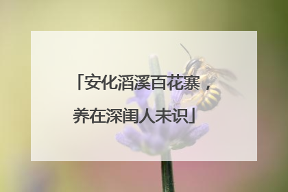 安化滔溪百花寨，养在深闺人未识