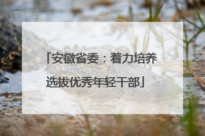 安徽省委：着力培养选拔优秀年轻干部