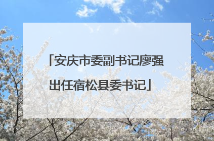 安庆市委副书记廖强出任宿松县委书记