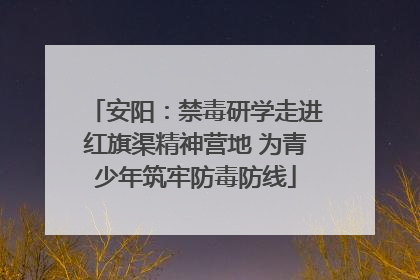 安阳：禁毒研学走进红旗渠精神营地 为青少年筑牢防毒防线