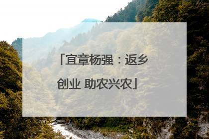 宜章杨强：返乡创业 助农兴农