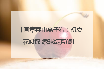 宜章莽山燕子岩：初夏花似锦 绣球绽芳颜