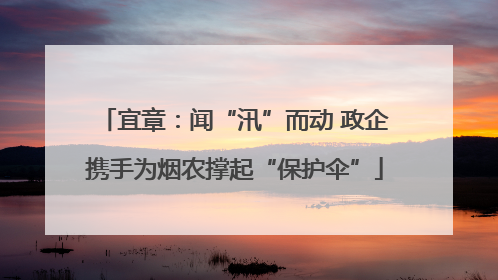 宜章：闻“汛”而动 政企携手为烟农撑起“保护伞”