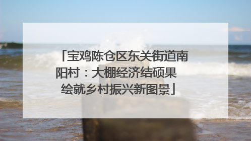 宝鸡陈仓区东关街道南阳村：大棚经济结硕果 绘就乡村振兴新图景