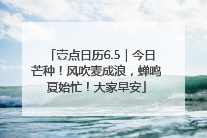 壹点日历6.5｜今日芒种！风吹麦成浪，蝉鸣夏始忙！大家早安