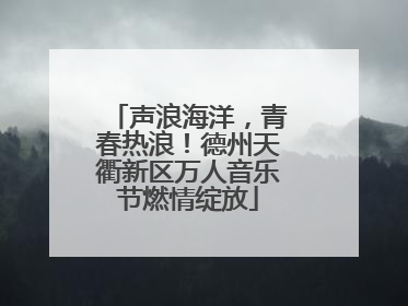 声浪海洋，青春热浪！德州天衢新区万人音乐节燃情绽放