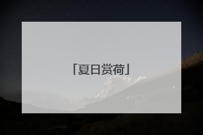 夏日赏荷
