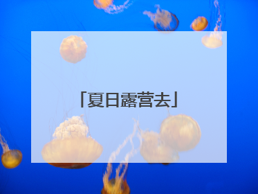 夏日露营去