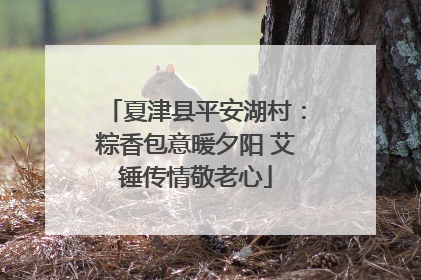 夏津县平安湖村：粽香包意暖夕阳 艾锤传情敬老心