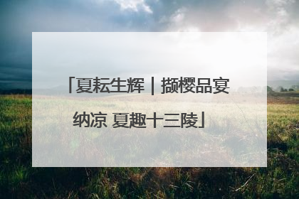 夏耘生辉｜撷樱品宴纳凉 夏趣十三陵