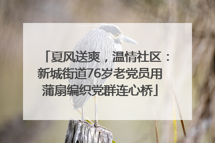 夏风送爽，温情社区：新城街道76岁老党员用蒲扇编织党群连心桥