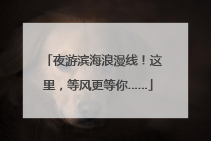 夜游滨海浪漫线！这里，等风更等你……