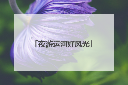 夜游运河好风光
