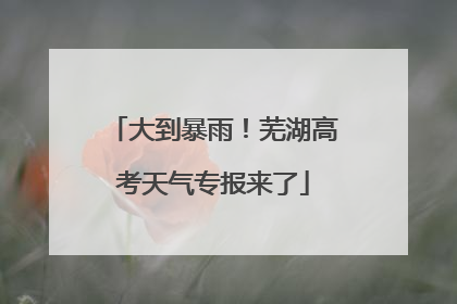 大到暴雨！芜湖高考天气专报来了