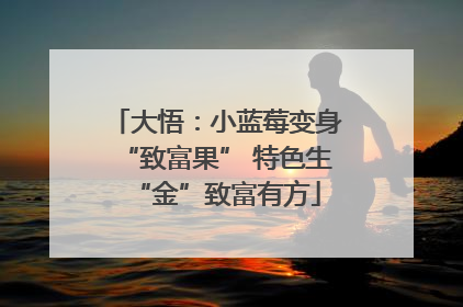 大悟：小蓝莓变身“致富果” 特色生“金”致富有方
