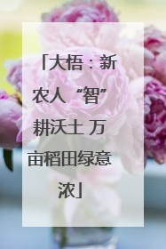 大悟：新农人“智”耕沃土 万亩稻田绿意浓