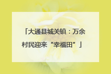 大通县城关镇：万余村民迎来“幸福田”