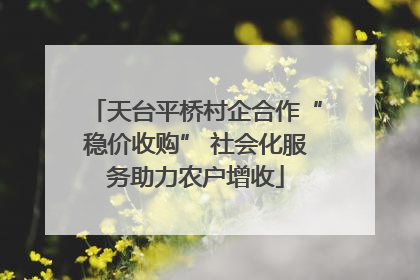 天台平桥村企合作“稳价收购” 社会化服务助力农户增收