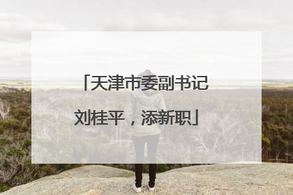 天津市委副书记刘桂平，添新职