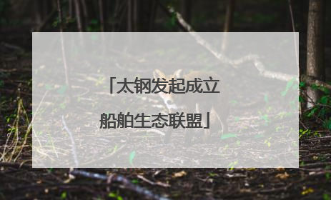 太钢发起成立船舶生态联盟