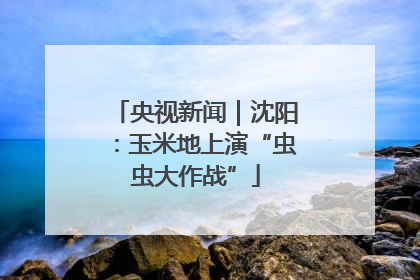 央视新闻｜沈阳：玉米地上演“虫虫大作战”