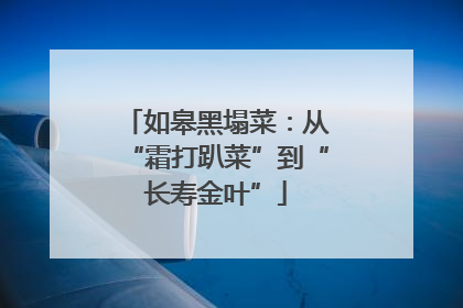 如皋黑塌菜：从“霜打趴菜”到“长寿金叶”