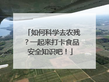 如何科学去农残？一起来打卡食品安全知识吧！