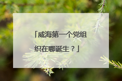 威海第一个党组织在哪诞生？