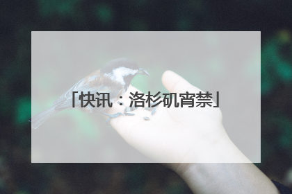 快讯：洛杉矶宵禁