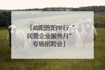德阳旌阳举行“民营企业服务月”专场招聘会