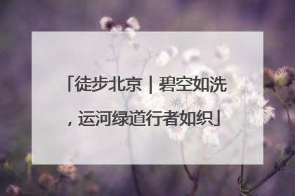 徒步北京｜碧空如洗，运河绿道行者如织