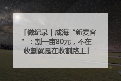微纪录｜威海“新麦客”：割一亩80元，不在收割就是在收割路上