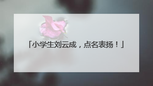 小学生刘云成，点名表扬！