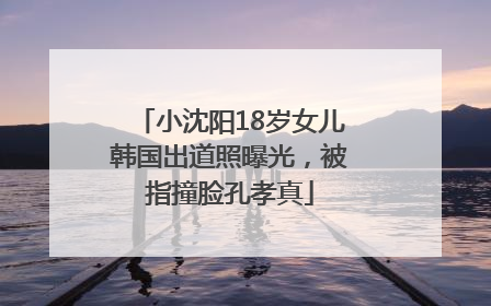 小沈阳18岁女儿韩国出道照曝光，被指撞脸孔孝真