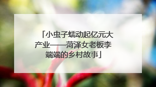 小虫子蠕动起亿元大产业——菏泽女老板李端端的乡村故事