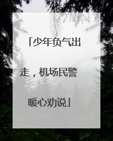 少年负气出走，机场民警暖心劝说