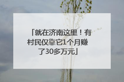 就在济南这里！有村民仅靠它1个月赚了30多万元