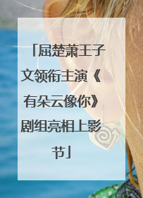 屈楚萧王子文领衔主演《有朵云像你》剧组亮相上影节