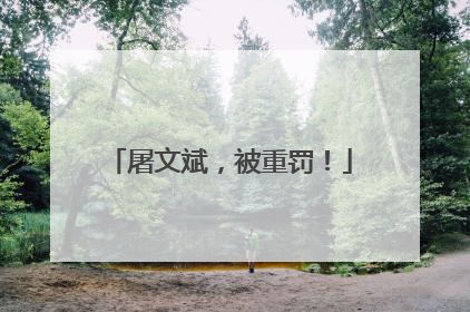屠文斌，被重罚！