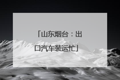 山东烟台：出口汽车装运忙